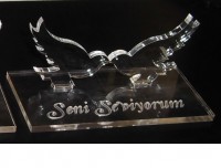 /album/seni-seviyorum-ku%c5%9flar%c4%b1/cimg0102-jpg/